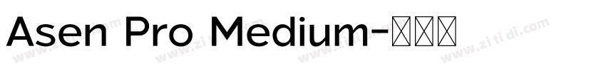 Asen Pro Medium字体转换 Asen Pro Medium字体转换